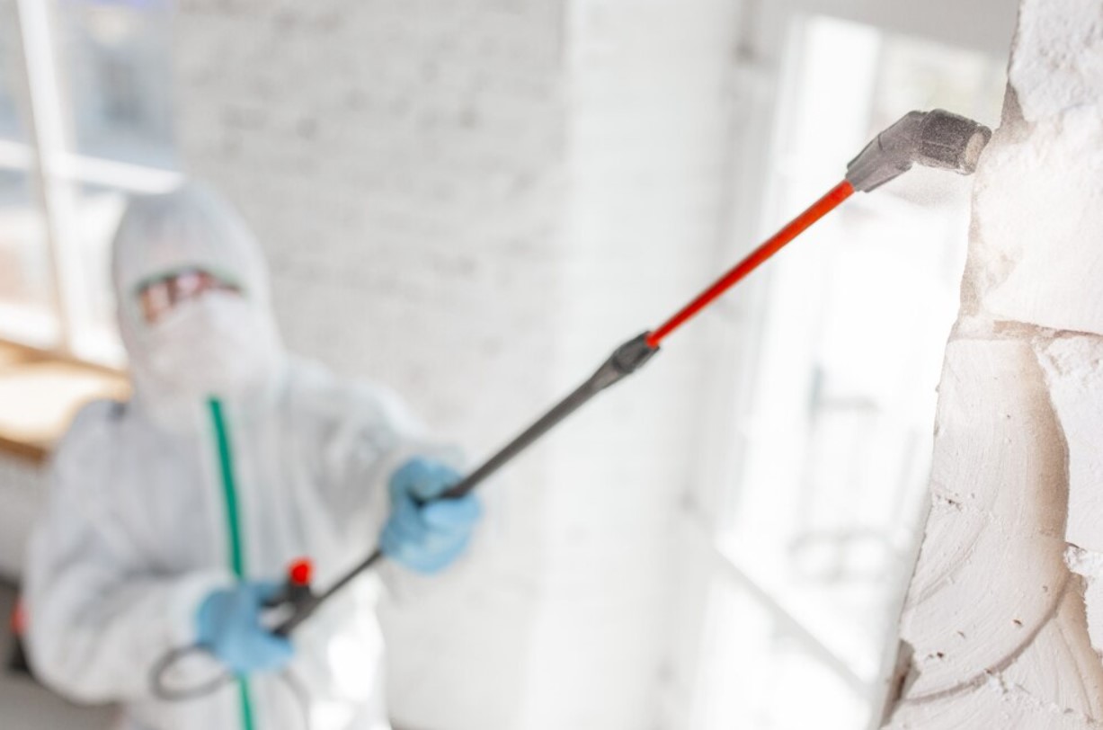 Best Mold Remediation Solutions for Southeast Florida